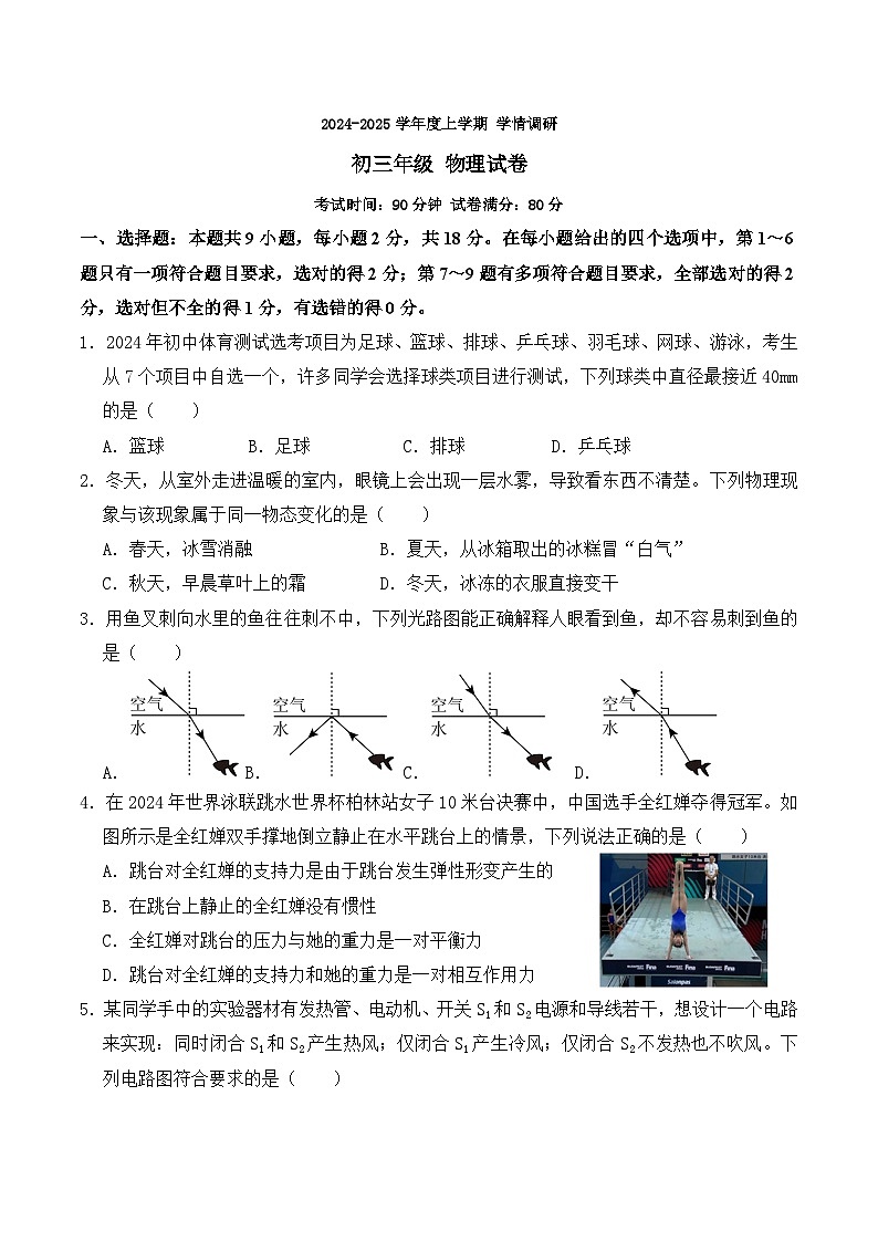 辽宁省沈阳市浑南区东北育才学校2024-2025学年九年级上学期11月月考物理试题01