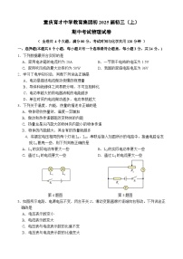 重庆育才中学2024-2025学年九年级上学期期中物理试卷（第二次自主作业）