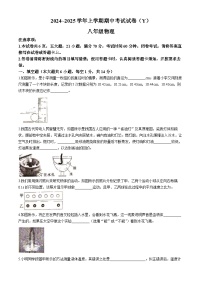 河南省漯河市舞阳县2024-2025学年八年级上学期期中考试物理试卷