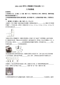 河南省漯河市舞阳县2024-2025学年八年级上学期期中考试物理试卷