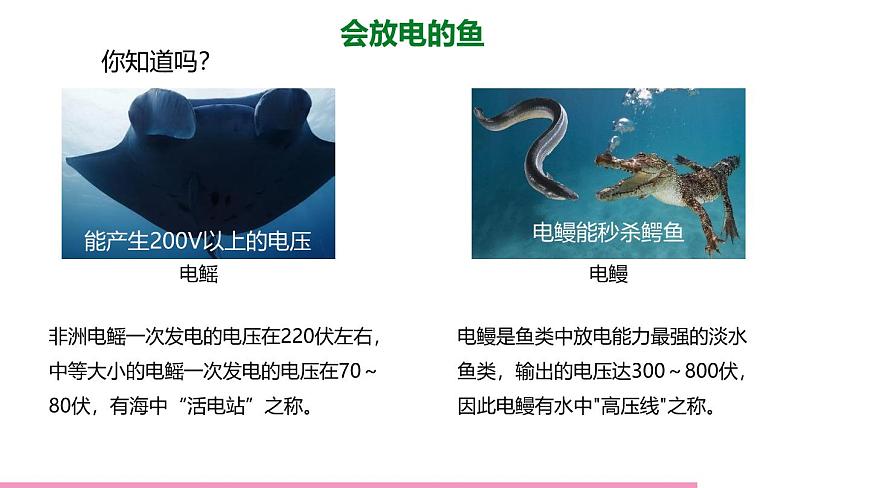 魯科版九年級物理全一冊12.1電壓（課件）山東五四制9全第8頁