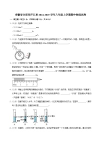 安徽省合肥市庐江县2024-2025学年八年级上学期11月期中物理试题