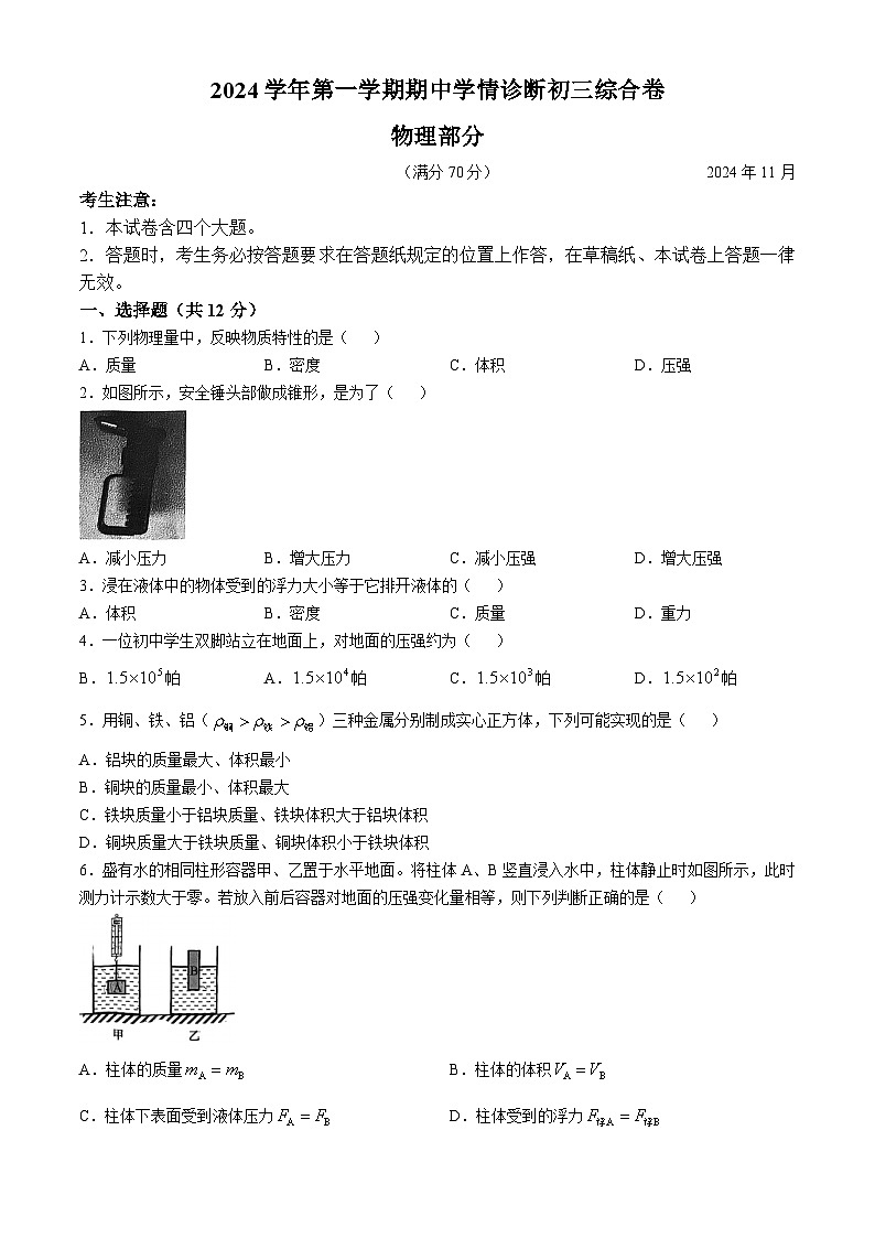 上海市浦东新区罗星中学2024-2025学年九年级上学期期中考试物理试卷(无答案)第1页