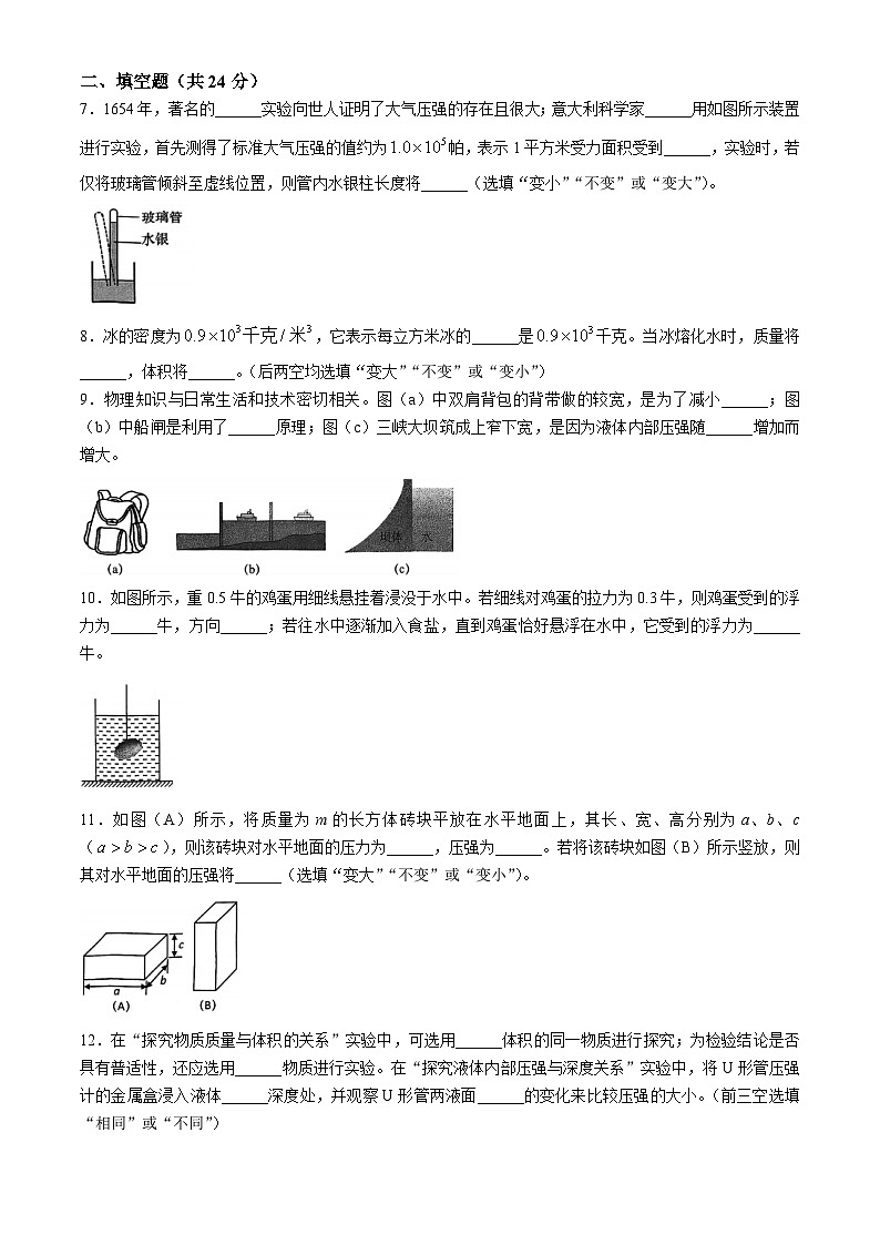 上海市浦东新区罗星中学2024-2025学年九年级上学期期中考试物理试卷(无答案)第2页