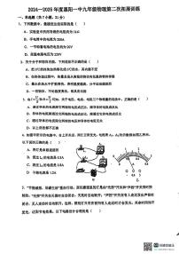 广东省惠州市惠阳区第一中学2024-2025学年九年级上学期11月期中物理试题