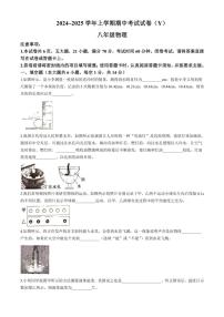 河南省漯河市舞阳县2024～2025学年八年级(上)期中物理试卷(含答案)