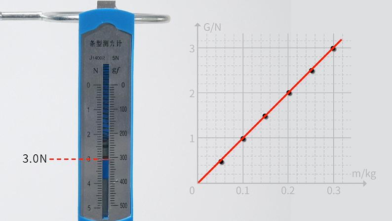 新人教版物理八年级下册7.3 重力 课件+教案+同步练习+学案(含答案)06