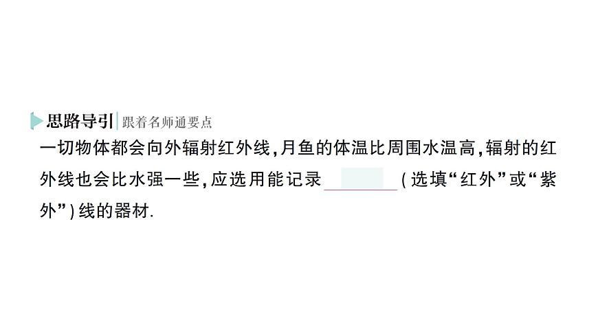 初中物理新人教版八年級上冊第四章第五節(jié) 光的色散作業(yè)課件2024秋第7頁