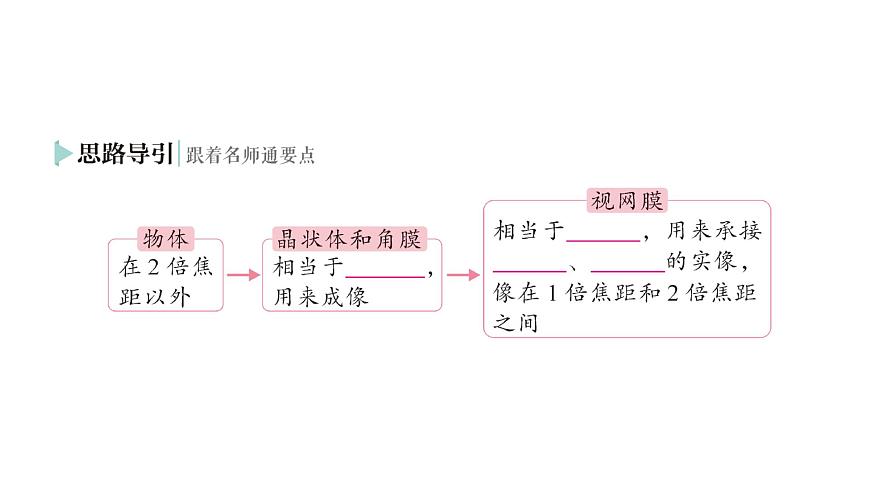 初中物理新人教版八年級上冊第五章第四節(jié) 眼睛和眼鏡作業(yè)課件2024秋第3頁