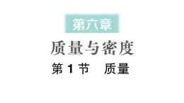 初中物理新人教版八年级上册第六章第一节 质量作业课件2024秋