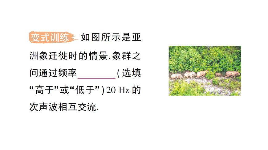 初中物理新人教版八年級上冊第二章第二節(jié) 聲音的特性作業(yè)課件2024秋第6頁