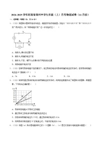 河南省郑州中学2024-2025学年九年级上学期月考物理试卷（11月份）