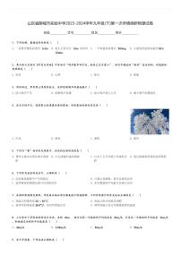 山东省聊城市实验中学2023-2024学年九年级(下)第一次学情调研物理试卷(含解析)
