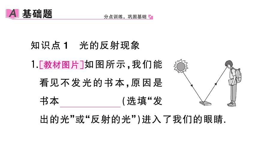 初中物理新人教版八年級上冊第四章第二節(jié) 光的反射作業(yè)課件2024秋季第2頁