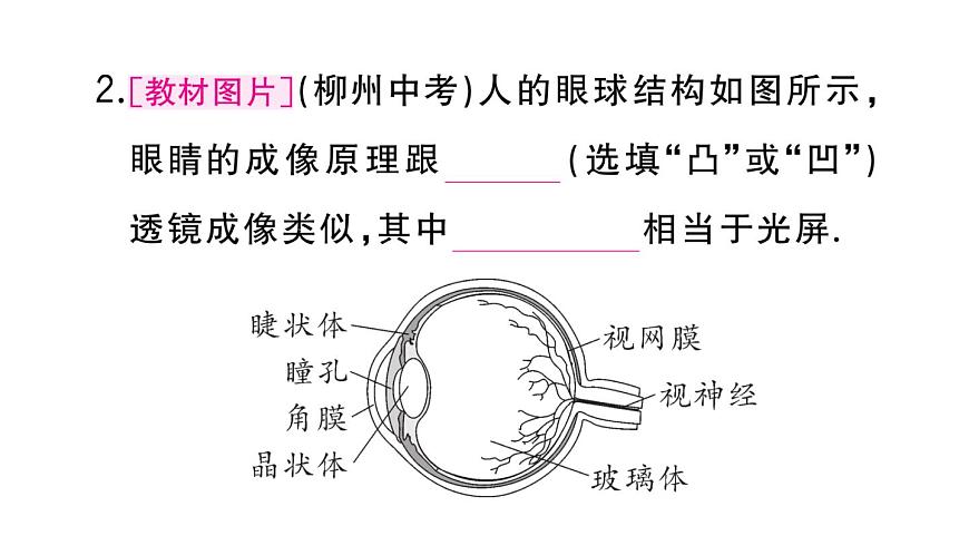 初中物理新人教版八年級上冊第五章第四節(jié) 眼睛和眼鏡作業(yè)課件2024秋季第3頁