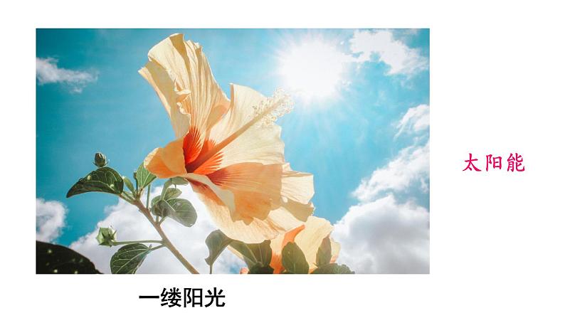 (教科版)九年级物理下册11.1节 能量守恒定律 (课件)第8页