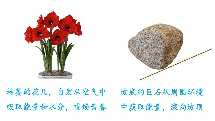 （教科版）九年級物理下冊11.2節(jié) 能量轉(zhuǎn)化的方向性和效率(課件）第5頁