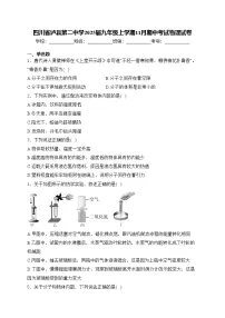四川省泸县第二中学2025届九年级上学期11月期中考试物理试卷(含答案)