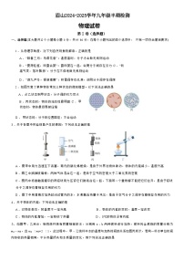 四川省眉山市仁寿县眉山天府新区部分学校2024-2025学年九年级上学期11月期中物理试题