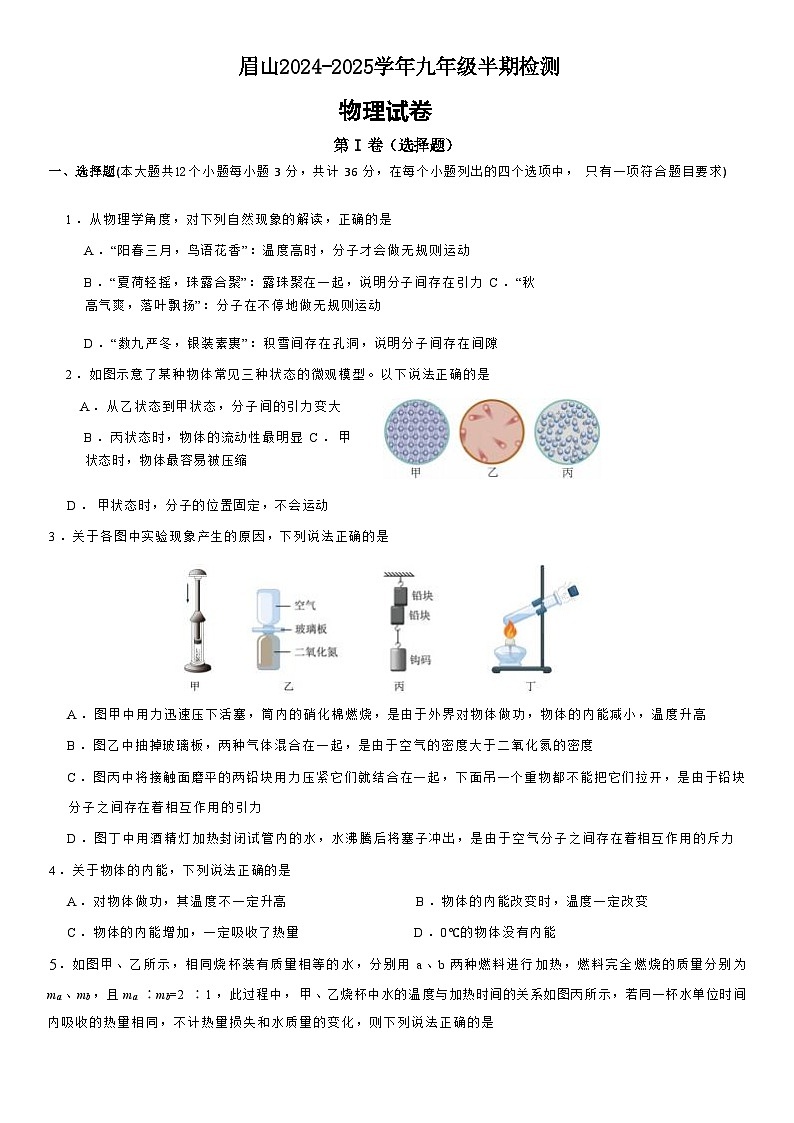眉山天府新区2024-2025学年九年级半期检测物理第1页