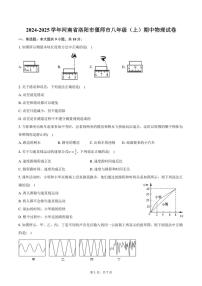 2024~2025学年河南省洛阳市偃师市八年级(上)期中物理试卷(含答案)