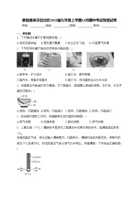 新疆維吾爾自治區(qū)2025屆九年級(jí)上學(xué)期11月期中考試物理試卷(含答案)