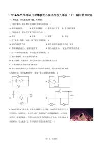 2024-2025学年四川省攀枝花外国语学校九年级（上）期中物理试卷（含答案）