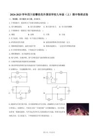 2024～2025学年四川省攀枝花外国语学校九年级(上)期中物理试卷(含答案)
