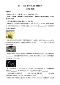 河南省洛阳市洛宁县2024-2025学年九年级上学期10月月考物理试题 （原卷版）-A4