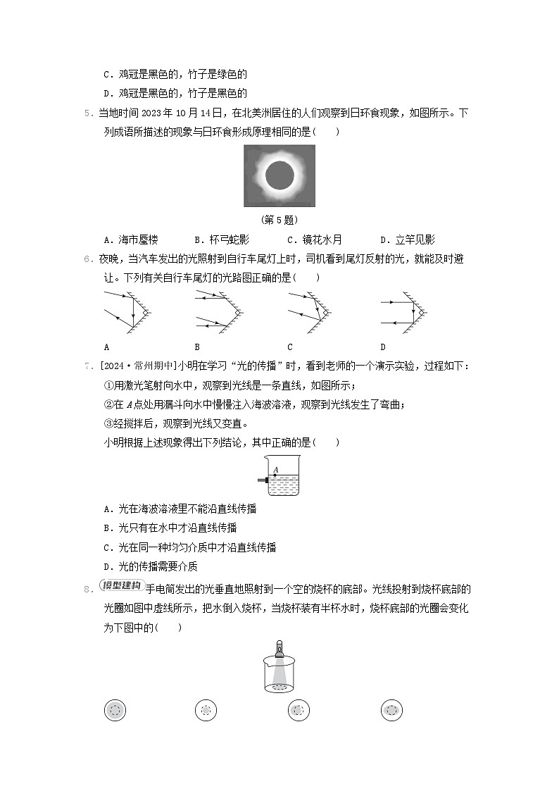 2024八年级物理上册第四章光现象综合素质评价试卷(附答案北师大版)第2页