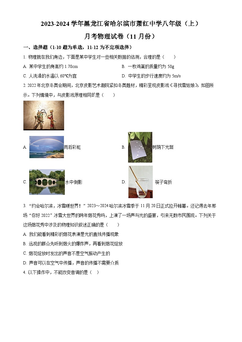 黑龙江省哈尔滨市萧红中学2023-2024学年八年级上学期11月月考试物理试题(原卷版)-A4第1页