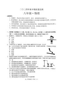 四川省宜宾市长宁县2024-2025学年八年级上学期11月期中物理试题