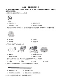 广西南宁市2024年八年级上学期物理期末考试【含参考答案】