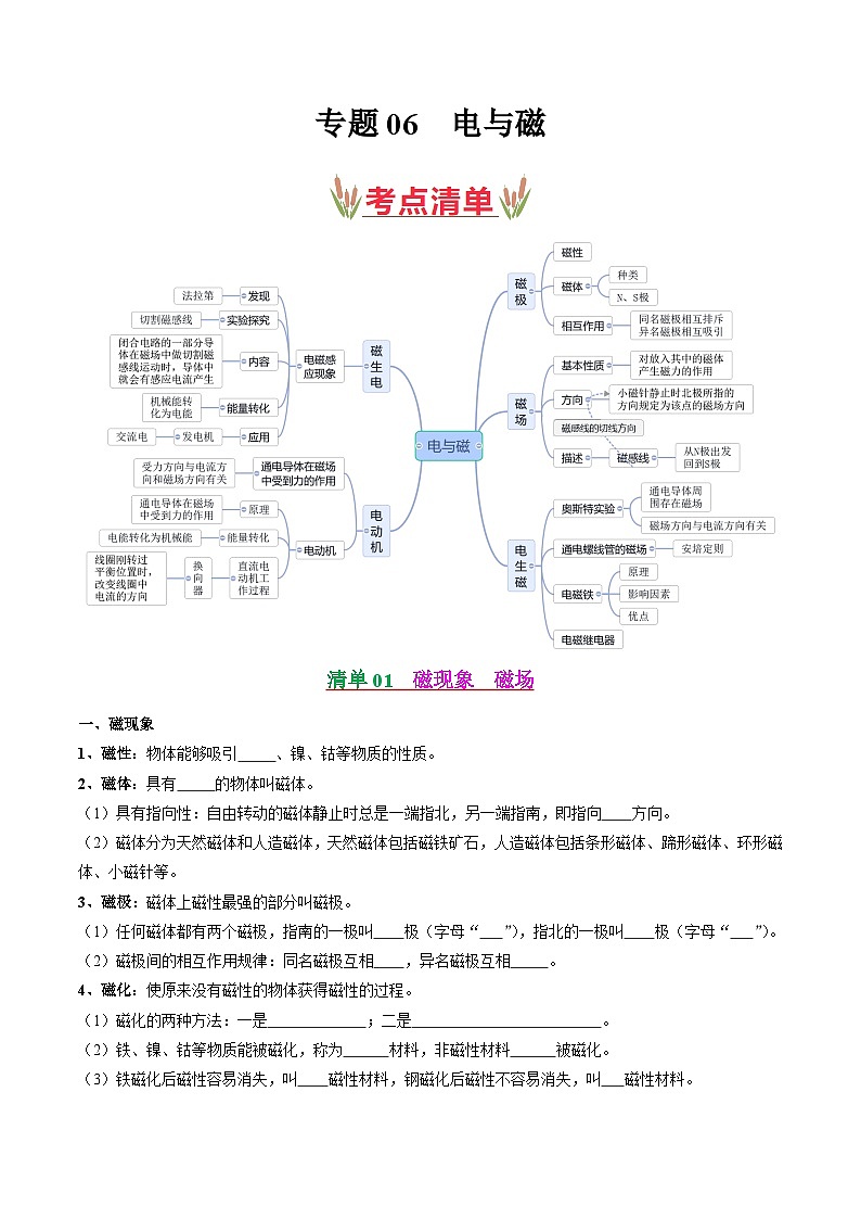 考点清单06 电与磁【14题型】(原卷版)第1页