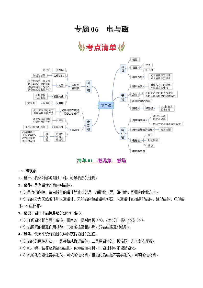 考点清单06 电与磁【14题型】(解析版)第1页