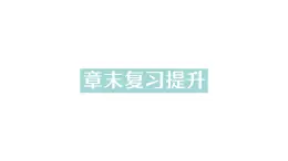 初中物理新沪科版八年级全册第二章 声的世界复习提升作业课件2024秋