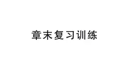 初中物理新沪科版八年级全册第三章 光的世界复习训练作业课件（2024秋）