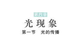 初中物理新北师大版八年级上册第四章第一节 光的传播作业课件2024秋