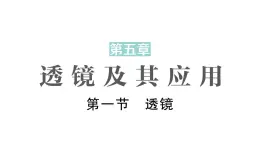 初中物理新北师大版八年级上册第五章第一节 透镜作业课件2024秋