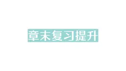 初中物理新北师大版八年级上册第四章 光现象复习提升作业课件2024秋