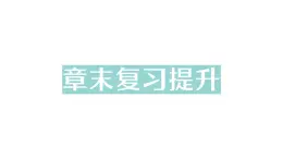 初中物理新北师大版八年级上册第五章 透镜及其应用复习提升作业课件2024秋