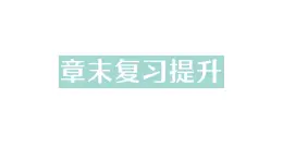 初中物理新教科版八年级上册第六章 质量与密度复习提升作业课件2024秋