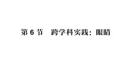 初中物理新教科版八年级上册第四章第六节 跨学科实践：眼睛作业课件2024秋