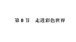 初中物理新教科版八年级上册第四章第八节 走进彩色世界作业课件2024秋