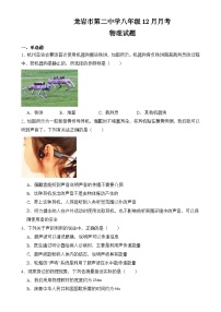福建省龙岩市新罗区福建省龙岩市第二中学2024-2025学年八年级上学期12月月考物理试题-A4