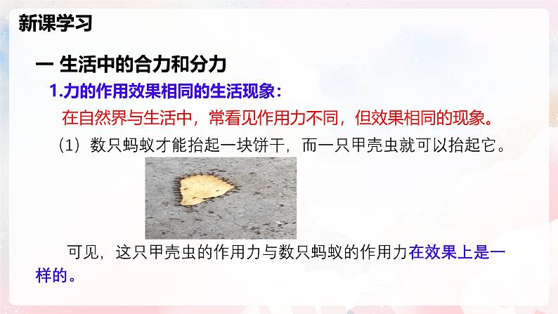 7.2 力的合成—初中物理八年级全一册 同步教学课件(沪科版2024)第5页