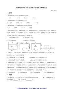 2024～2025学年上海市黄浦区格致初级中学九年级(上)12月月考物理试卷(教师版+学生版)