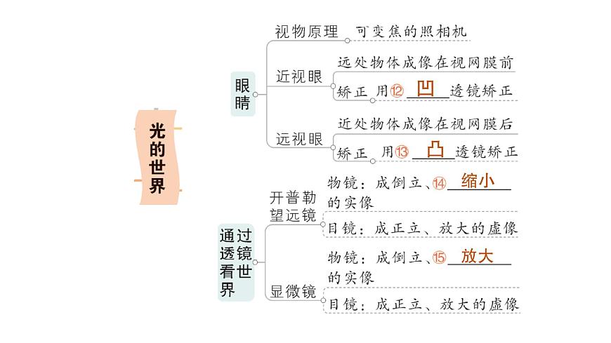 初中物理新教科版八年級(jí)上冊(cè)第四章 光的世界復(fù)習(xí)提升作業(yè)課件2024秋第5頁(yè)