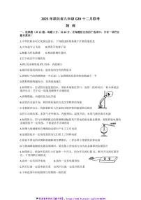 2024～2025学年湖北省G20九年级(上)十二月联考(月考)物理试卷(含答案)