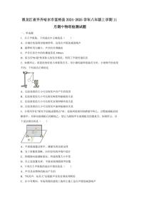 黑龙江省齐齐哈尔市富裕县2024-2025学年八年级上学期11月期中物理检测试题（含答案）